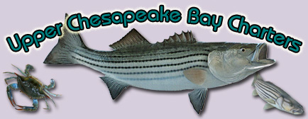 Upper Chesapeake Bay Charters with Captain Hunter